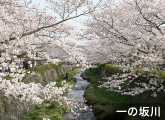 一の坂川