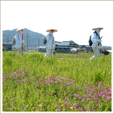 秋穂八十八ケ所霊場