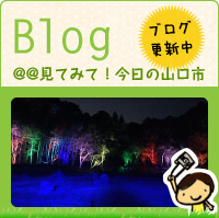 Blog（見てみて！今日の山口市）ブログ更新中/クリスマスイルミネーシ「大内の灯in雪舟庭」