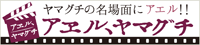 アエル、ヤマグチ