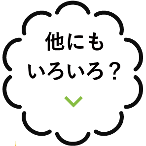 他にもいろいろ？