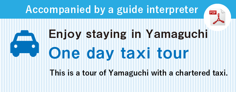 One day taxi tour