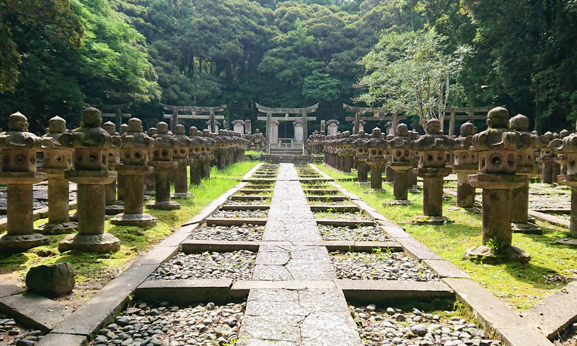 Visita al Templo Tōkōji
