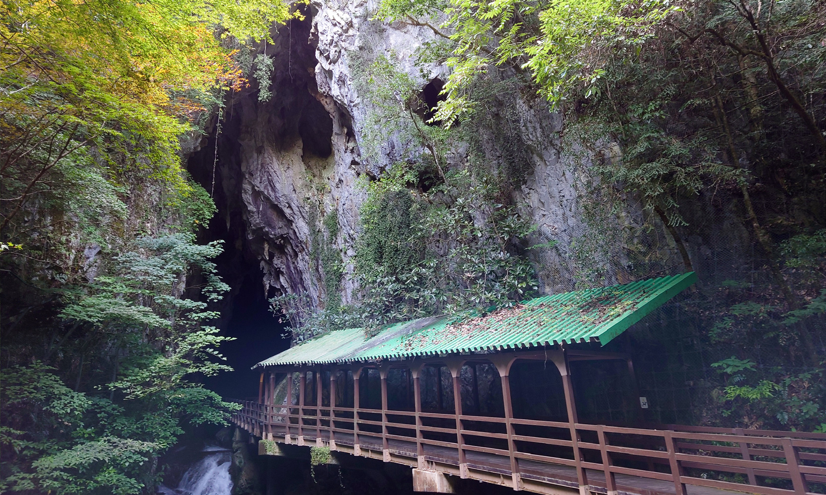 Visita a las cuevas de Akiyoshido