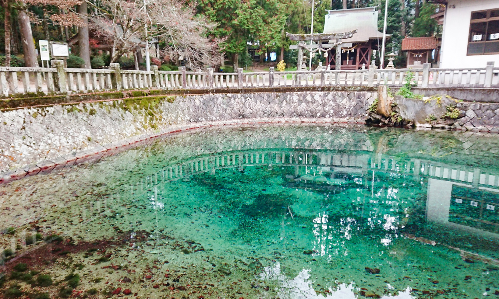 벳푸벵텐이케 연못