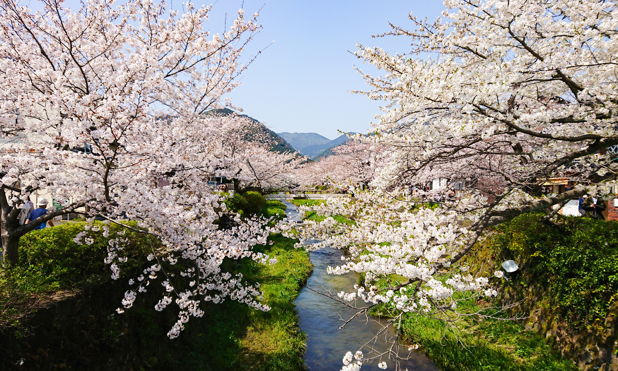 이치노사카가와 강