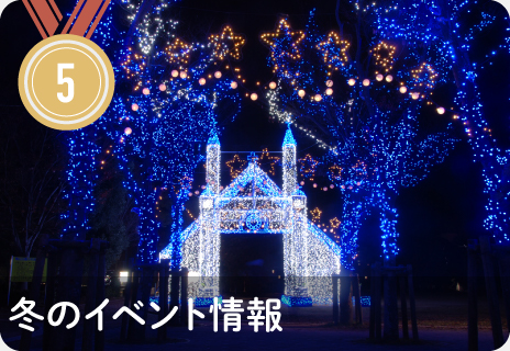 イベントカレンダー｜冬のイベント情報｜