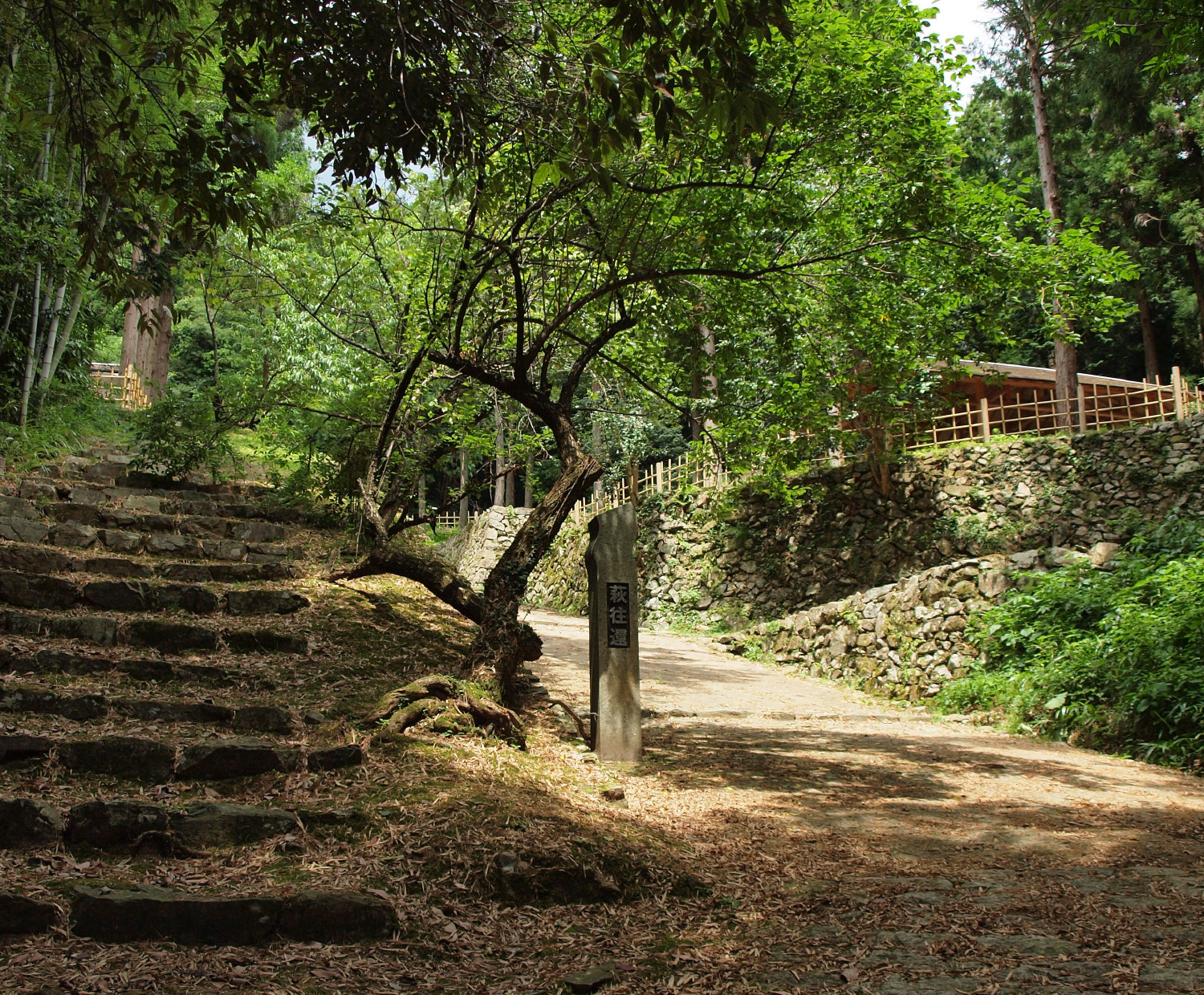 Hagiokan (ruta de Hagi)