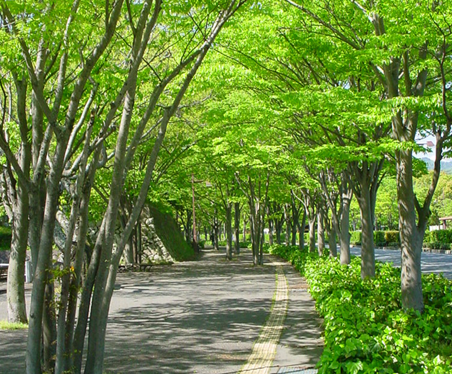 Park Road