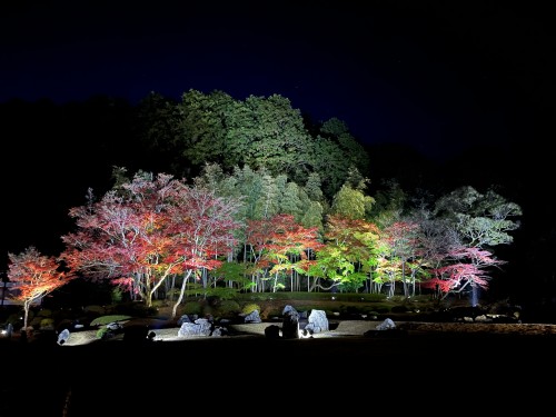 常栄寺2022_©コンベンション
