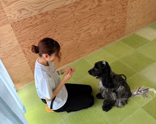 保育園の様子ハッピーランドハレルヤ